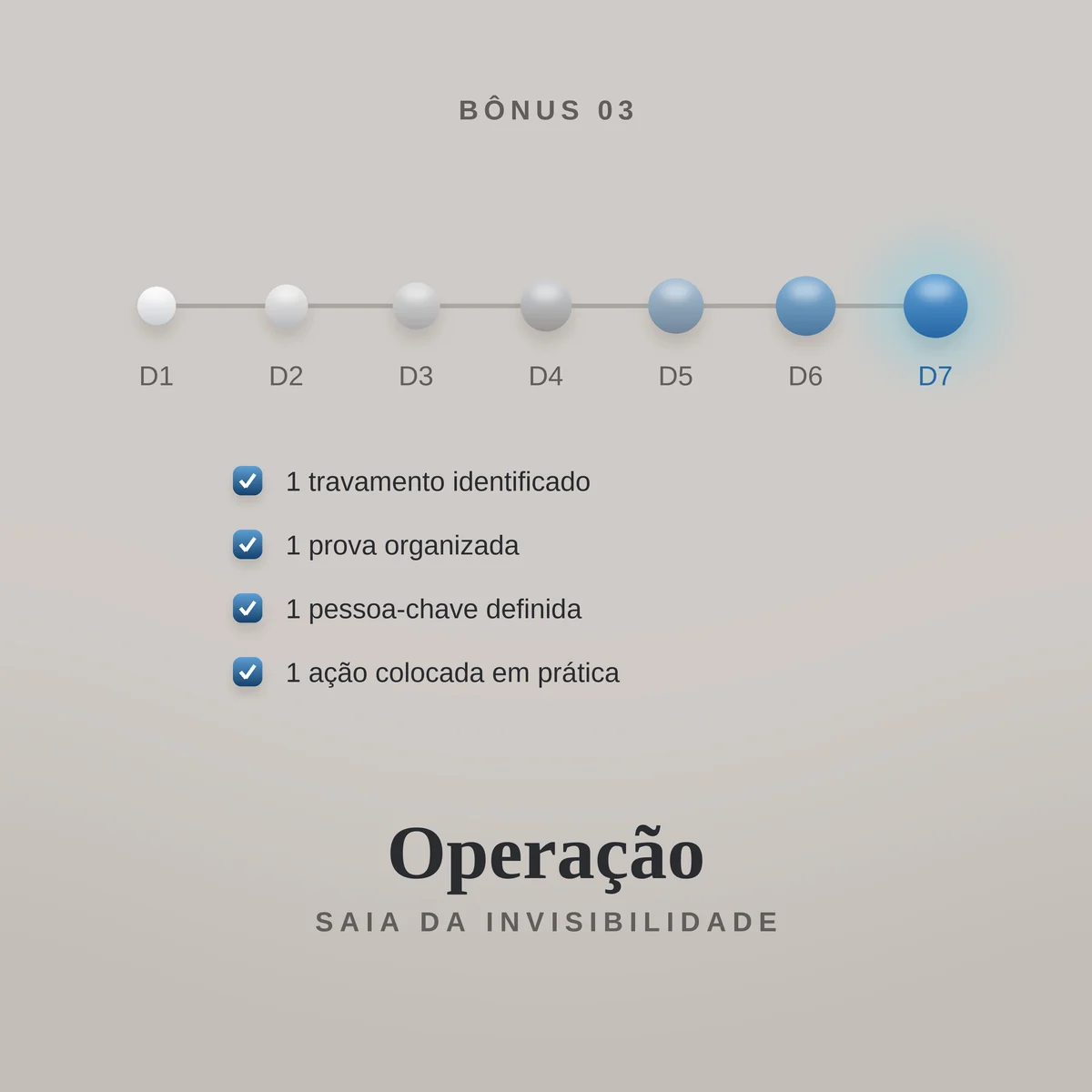 Operação Saia da Invisibilidade